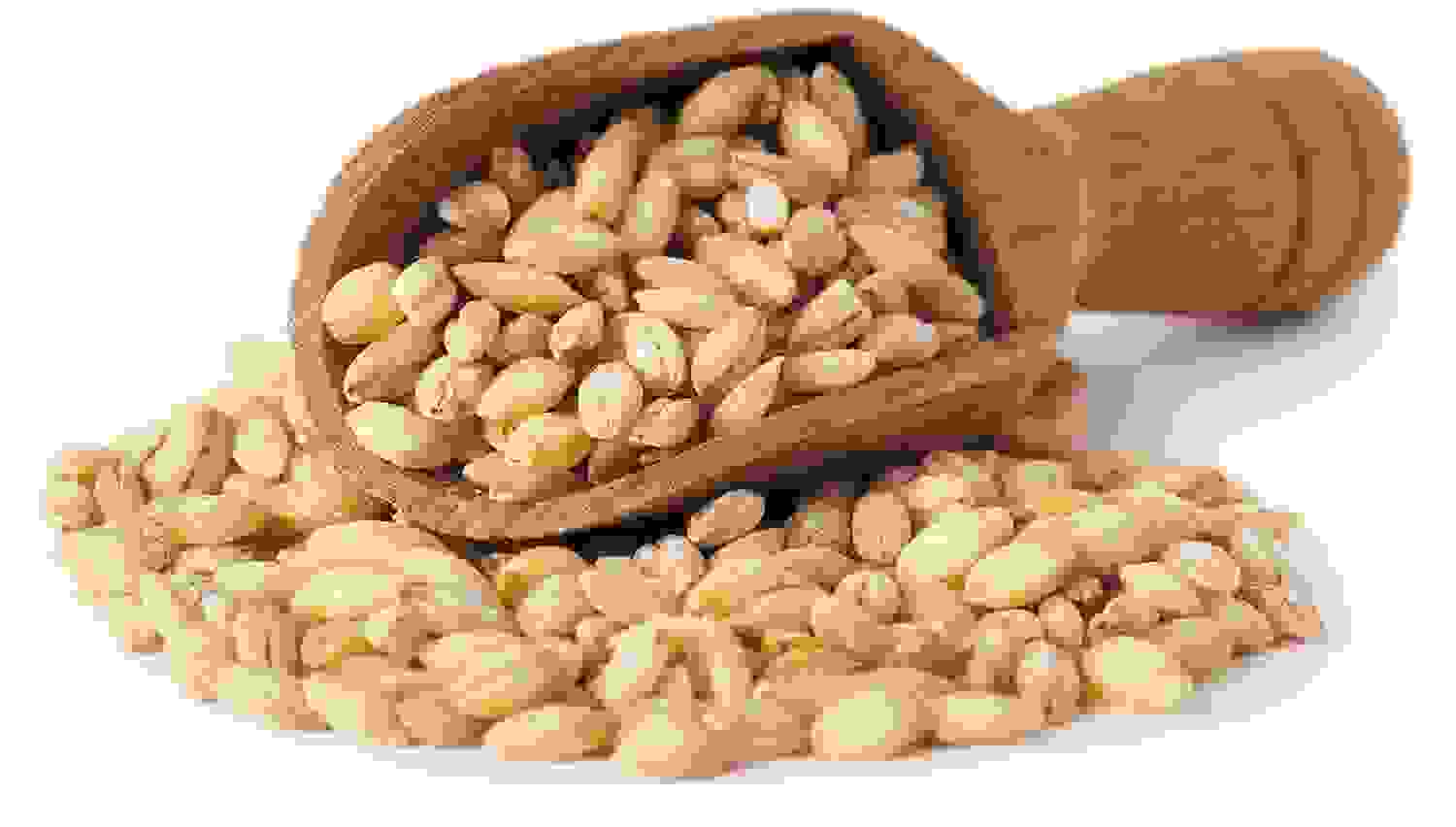 Premium Wheat Whole - 1Kg