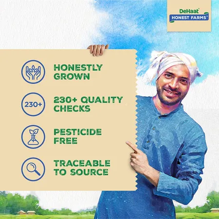 Dehaat Honest Farms Unpolished Green Moong Dal Whole - பாசி பருப்பு - Paruppu - 500g