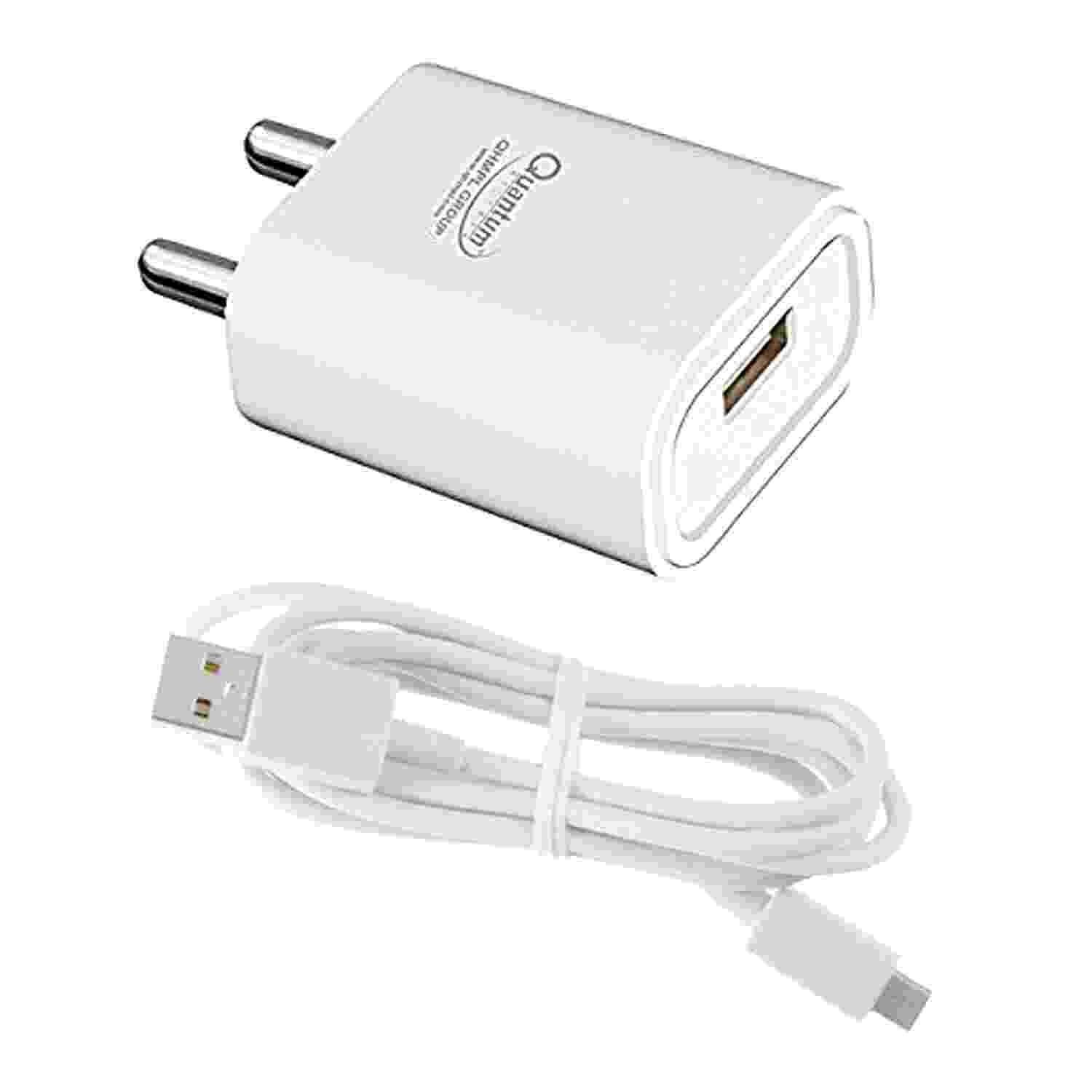 Quantum 2A Type C Single Port Mobile Charger with Detachable Cable (White)